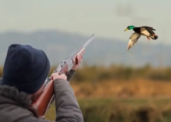 охотник на уток с ружьем