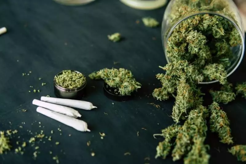 Картинки марихуану конопля с трехпалыми листьями