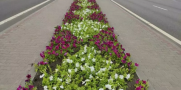 Цветы украсили Брест к Дню Победы