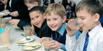 Пилотный проект по питанию школьников