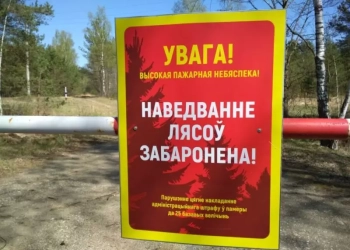 Запрет на посещение лесов