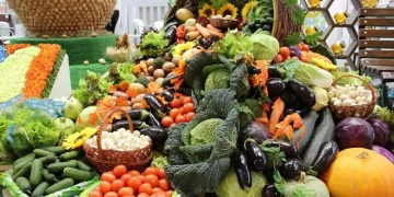 Сельскохозяйственная ярмарка