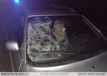 В Малоритском районе в сумерках насмерть сбили велосипедиста