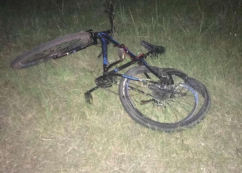 Пьяная автоледи сбила на загородной трассе пьяного велосипедиста: тот ехал ночью без фар