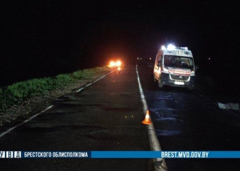 Мужчина брел по трассе Р-6 с велосипедом в руках, и его во тьме не заметил водитель