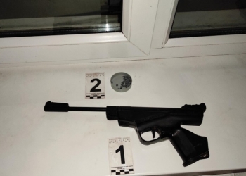 Барановичанин выстрелил в соседских детей за то, что они мешали ему осушать рюмку