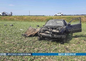 Ляховичанин на загородной трассе потерял контроль над «БМВ» и устроил перевертыш