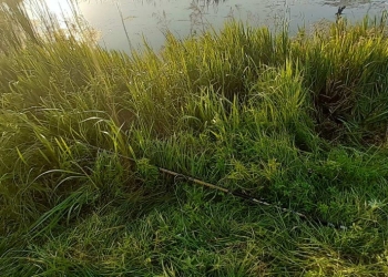 Подросток погиб во время рыбалки под линией электропередач