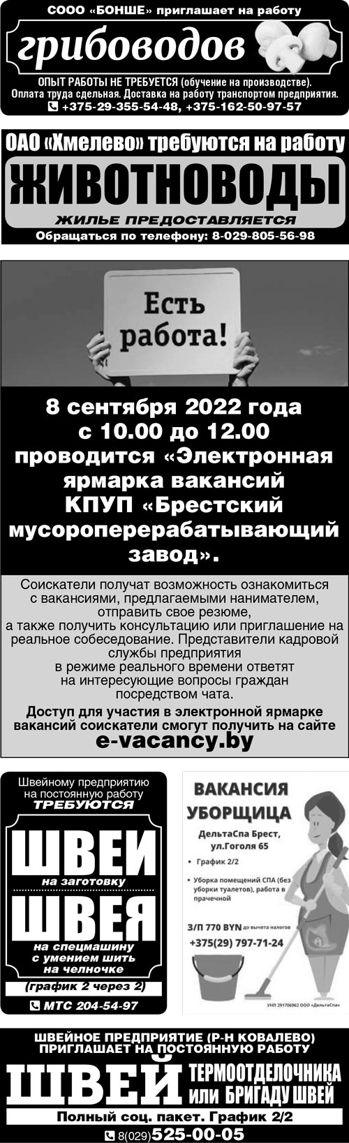 работа в Бресте