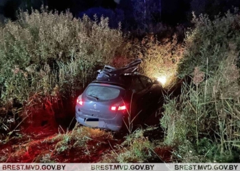 Ивановчанин сбил на трассе М-1 лося