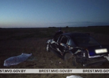 За выходные на Брестчине произошло два однотипных ДТП со смертельным исходом