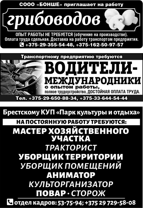 работа в бресте