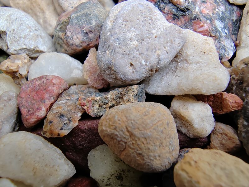 Пример макро фото на HONOR 70