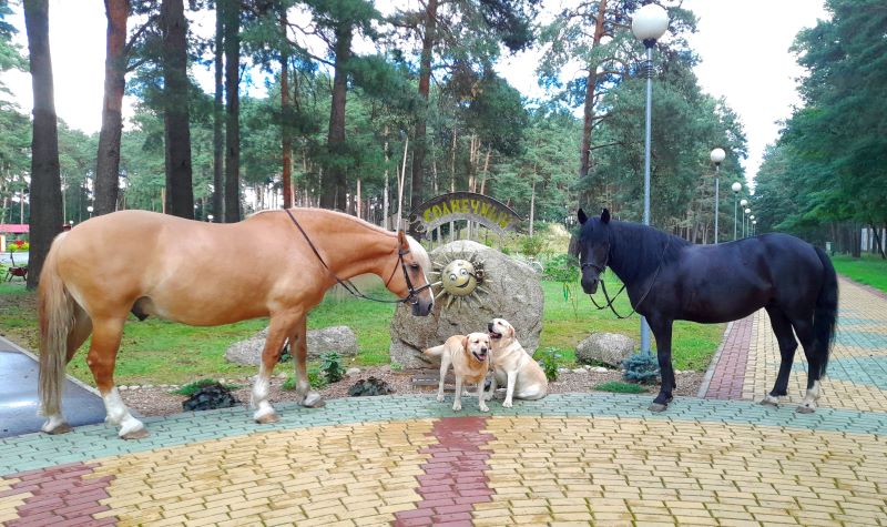 Санаторий "Солнечный"