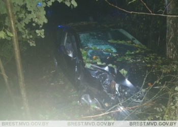 На загородных трассах за сутки два автомобиля вылетели в кювет из-за потери управления