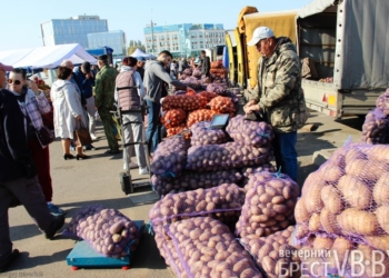 ярмарка сельхозпродукции