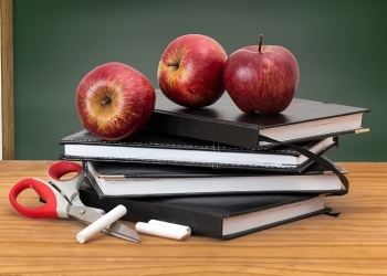 Едят дети, а оскомина у родителей. Как режим школьного питания может стать в буквальном смысле яблоком раздора?