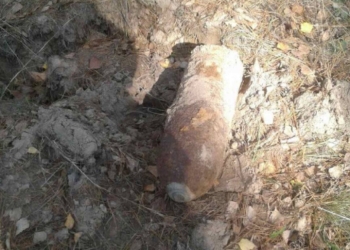 В лесном массиве Барановичского района найден еще один артефакт войны