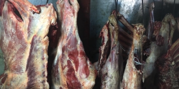 Фермер хранил более полутонны говяжьего мяса в антисанитарных условиях в сарае