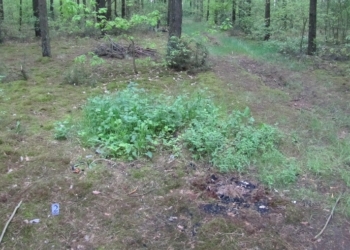 Следственный комитет завершил расследование жестокого убийства официантки в Пружанах восьмилетней давности