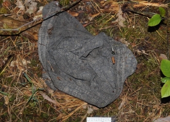 Следственный комитет завершил расследование жестокого убийства официантки в Пружанах восьмилетней давности