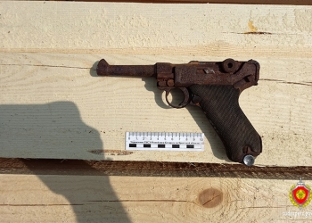 Жительница Бреста купила дом и нашла под крышей дома неожиданный «презент»