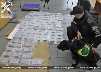 В Бресте задержаны участники ОПГ, поставлявшей гашиш из ЕС в Россию