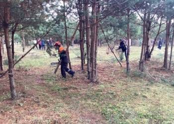 Более двухсот горожан благоустраивали Парк воинов-интернационалистов