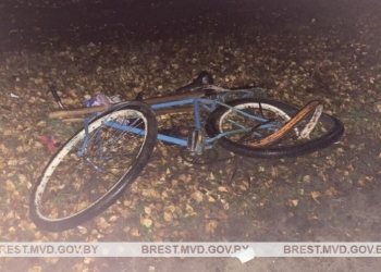 Россиянин за рулем грузовика совершил фатальный наезд на велосипедиста в Ляховичском районе