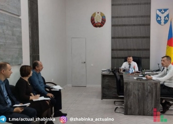 Газ, жилье и благоустройство. Такие вопросы волновали жителей Жабинковского района на личном приеме у главы райисполкома