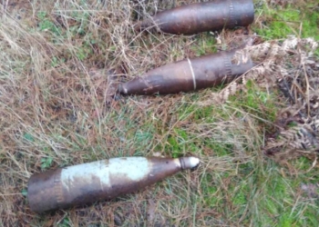В Брестском районе грибник наткнулся на три артиллерийских снаряда
