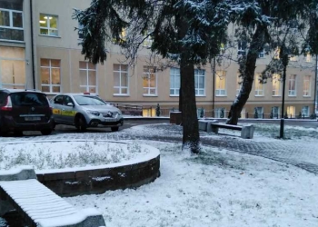 Утро пятницы порадовало брестчан первым снегом
