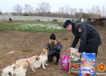 Брестские судебные эксперты помогли приюту для животных