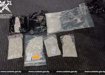 Водитель-поляк пытался нелегально ввезти в Беларусь более 380 изделий из серебра