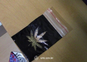 Брестские пограничники нашли у россиянина пакетик с подозрительным веществом