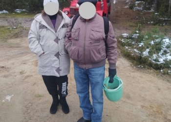 Пенсионеры пошли за грибами и потерялись в лесу