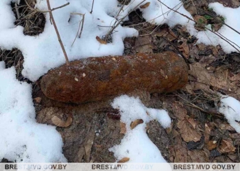 Сельчанин нашел очередной артиллерийский снаряд на поле в Пинском районе