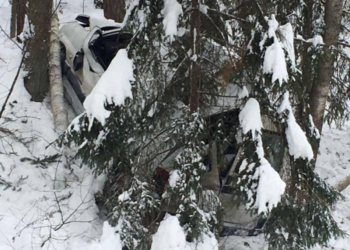 На трассе Р-6 «Ситроен» слишком близко познакомился с придорожными деревьями