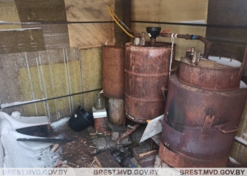 Жительница Каменца промышляла собственным алкогольным бизнесом