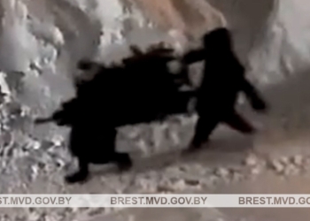 Зачем покупать, когда проще украсть? Так решили две девочки-подростка – и украли чужую елку