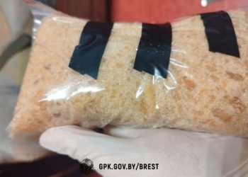 Брестские пограничники задержали наркозакладчика с 0,7 кг альфа-PVP