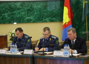 Для дальнобойщиков перед «Козловичами» построят зону ожидания. В пункте пропуска «Брест» ее расширят