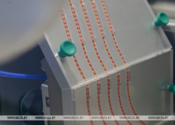 Инвестпроект по разработке и выпуску ветпрепаратов начнут реализовывать в Жабинке