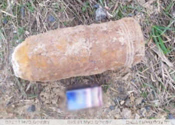 Сотрудники газовой службы случайно наткнулись на старый боеприпас во время земляных работ