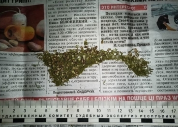 Жабинковские милиционеры прибыли по вызову на семейный скандал, а нашли у хозяйки квартиры марихуану