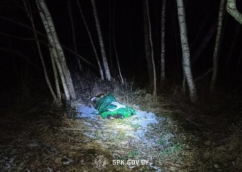 В Пружанском районе на границе с Польшей найден еще один труп беженца