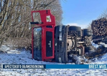 В Ивацевичском районе опрокинулся груженый лесовоз