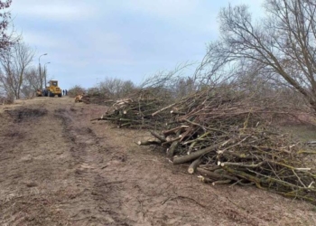 В Бресте стали активно расчищать от деревьев район Суворовского моста. Планируют строить?