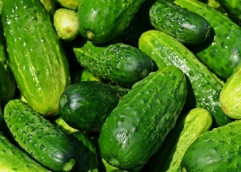 Огурец – молодец, но что положить на стол?