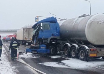 На трассе М-1 столкнулись два грузовика